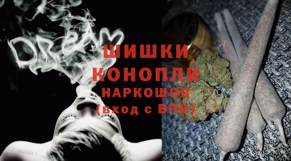 МДПВ Абаза