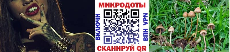 Галлюциногенные грибы прущие грибы  сколько стоит  Темников 